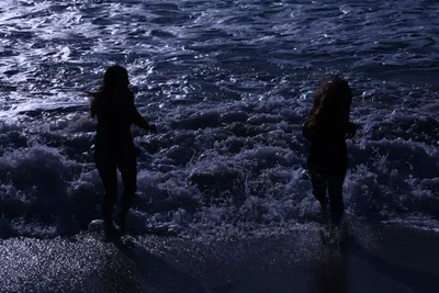 DSC_0494 (Large).JPG